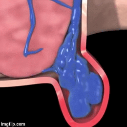 1754910593329621.gif